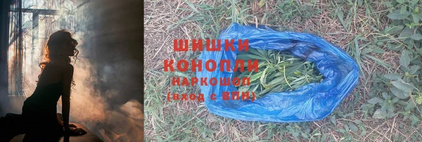 ГАЛЛЮЦИНОГЕННЫЕ ГРИБЫ Балахна