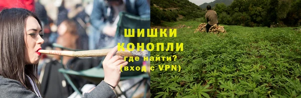 ГАЛЛЮЦИНОГЕННЫЕ ГРИБЫ Балахна