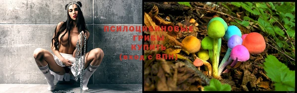 spice Баксан