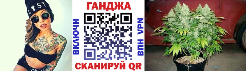 Бошки марихуана OG Kush  как найти наркотики  Вязьма 